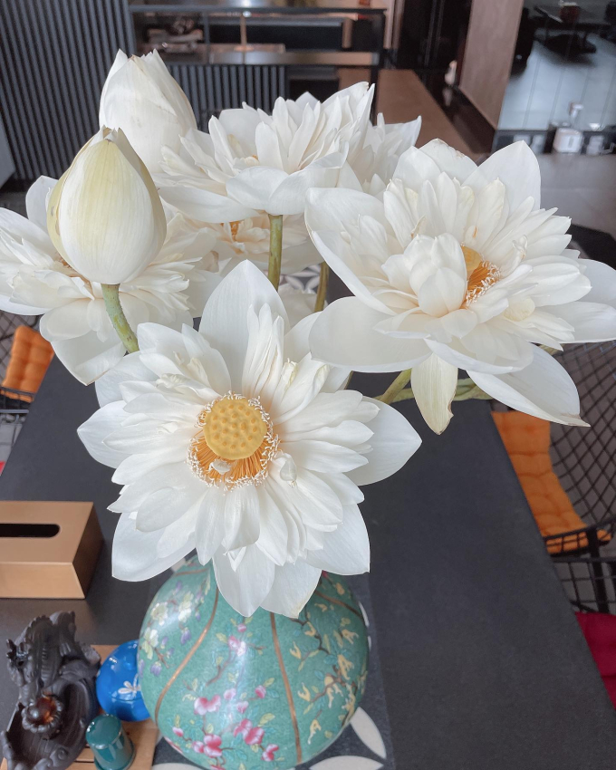 Bên trong căn penthouse cao cấp của Hoàng Thùy Linh: Gia chủ flex thú chơi hoa, cành quả siêu nghệ-15