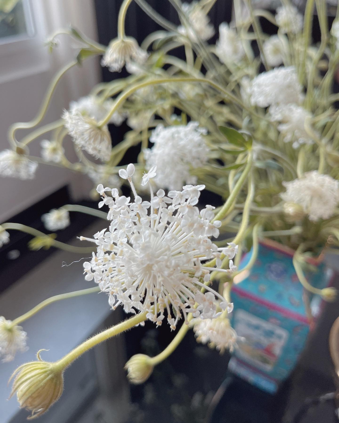 Bên trong căn penthouse cao cấp của Hoàng Thùy Linh: Gia chủ flex thú chơi hoa, cành quả siêu nghệ-16