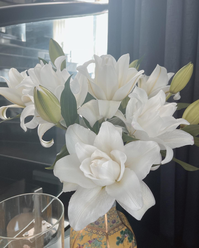Bên trong căn penthouse cao cấp của Hoàng Thùy Linh: Gia chủ flex thú chơi hoa, cành quả siêu nghệ-17