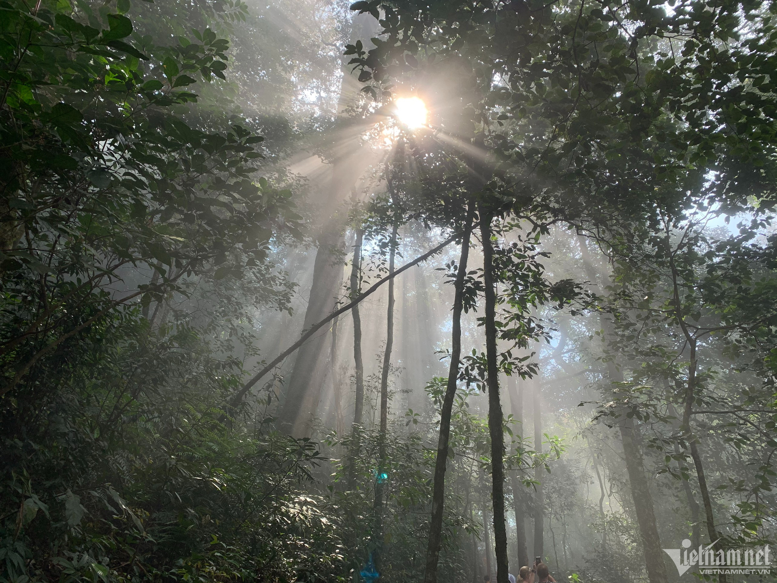 Thuê chị chồng làm giúp việc, không ngờ bị nhòm ngó khắp phòng ngủ-1