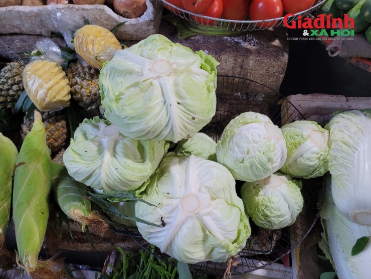 Tân sinh viên tại Hà Nội sốc khi cháy ví vì giá rau cao chót vót-2