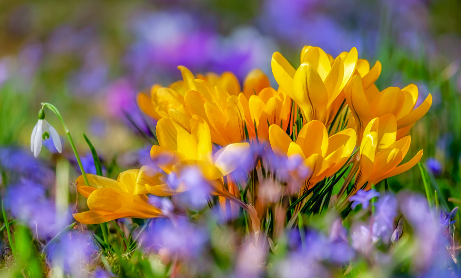 Tử vi ngày 4/10/2023 của 12 cung hoàng đạo: Cự Giải cẩn trọng, Bảo Bình tình cảm hài hòa-2