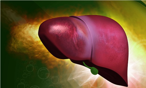 Người gan yếu có thể uống 4 loại nước này vào mùa thu để thanh nhiệt, giải độc gan-1