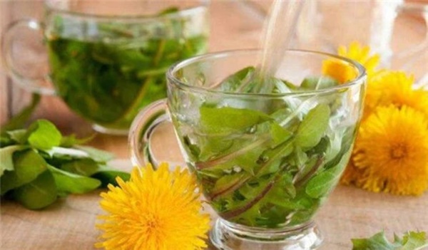 Người gan yếu có thể uống 4 loại nước này vào mùa thu để thanh nhiệt, giải độc gan-5