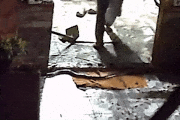 Nghe tiếng rít trong toilet, 2 vợ chồng phát hiện cảnh tượng kinh hãi-1