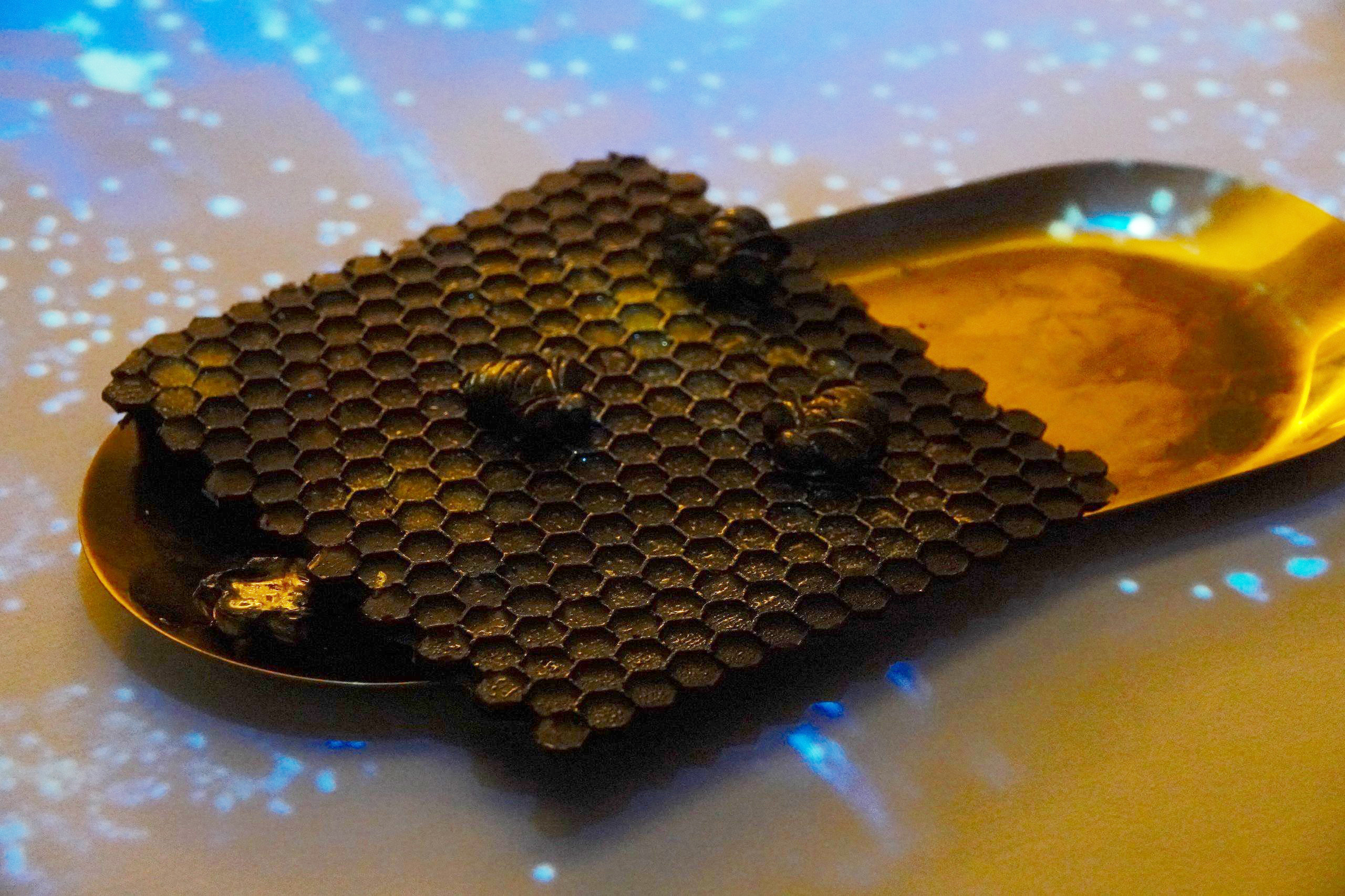 Tạo hình socola độc lạ, nữ giảng viên 9X kiếm 30 triệu mỗi tháng-4