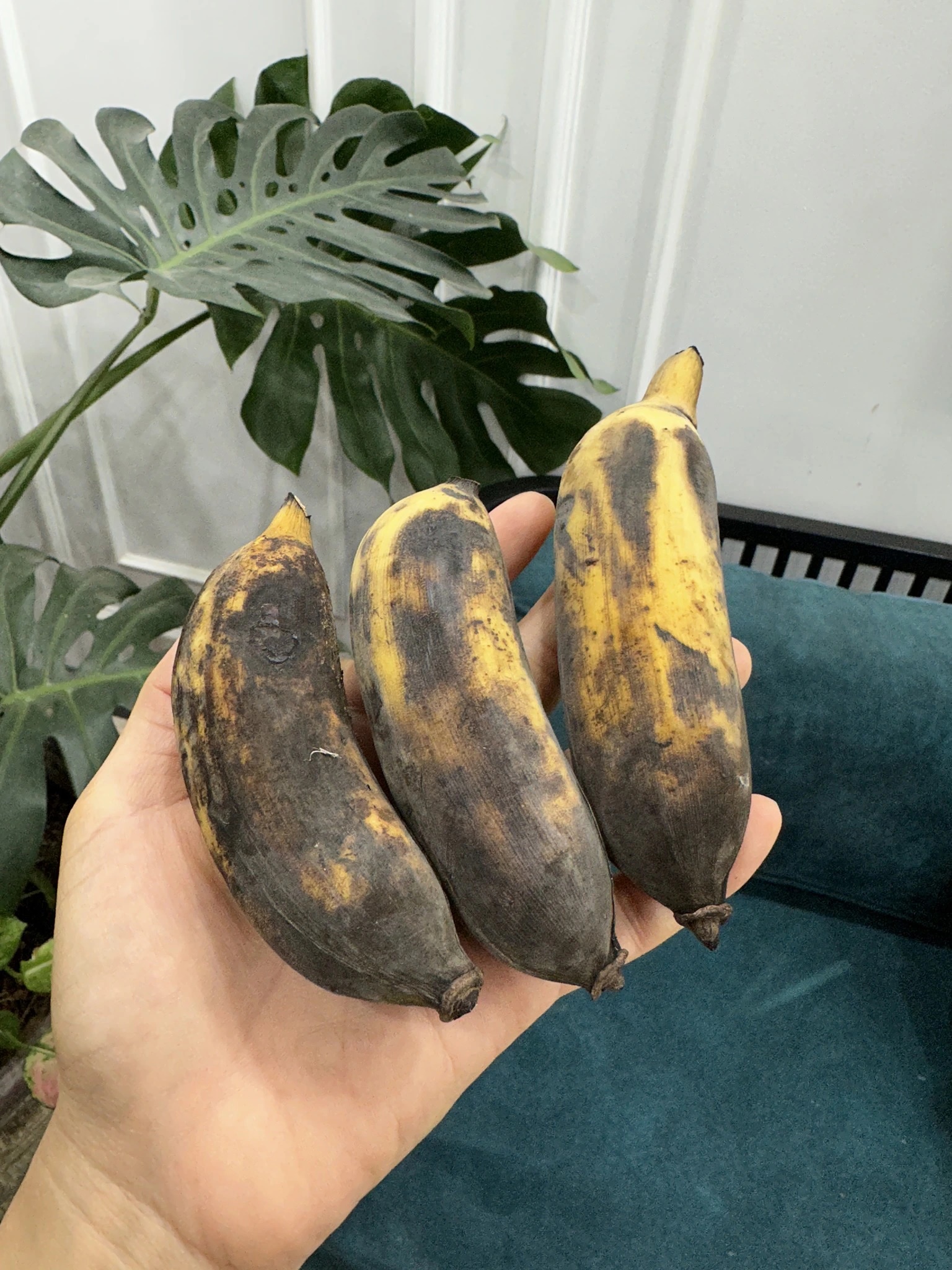 Con gái hồn nhiên đưa mẹ ăn 3 quả chuối đen và bài học về sự hy sinh của người phụ nữ trong gia đình-1