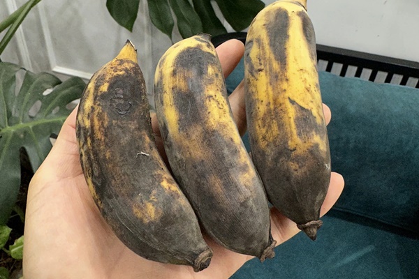 Quay cảnh 2 đứa con ngồi học, mẹ bất ngờ bị chỉ trích: Sao lại có suy nghĩ nuôi dạy con tai hại như vậy?-2