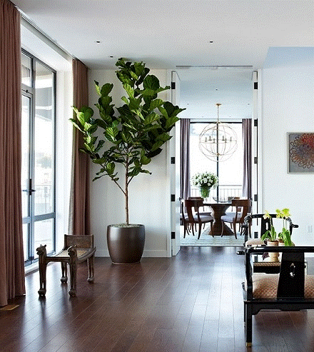 5 điều cần tránh trong phong thủy phòng khách, để gia chủ không bị phá tài-2