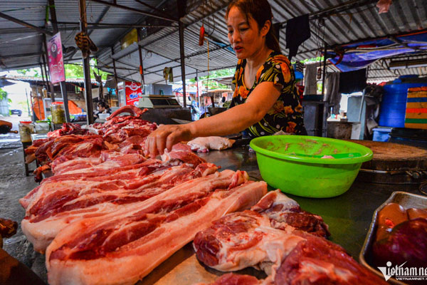Gần Tết, chủ trại buồn rầu bán lỗ vài chục triệu đến tiền tỷ mỗi lứa lợn-2