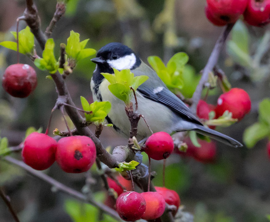 Người có ngày sinh Âm lịch kết thúc bằng số này, trai không thiếu tiền, nữ nhiều phúc khí-1