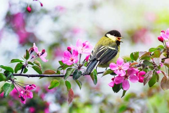 Người có ngày sinh Âm lịch kết thúc bằng số này, trai không thiếu tiền, nữ nhiều phúc khí