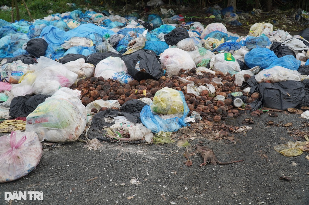 Rác tràn mặt đường, ngập vỉa hè, khủng bố người dân-2