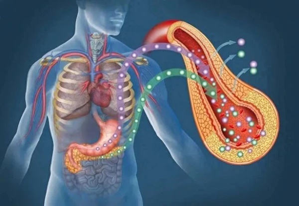 Viêm là thủ phạm chính gây ung thư: Cơ thể có 5 bộ phận này bị viêm, bạn cần điều trị càng sớm càng tốt-2
