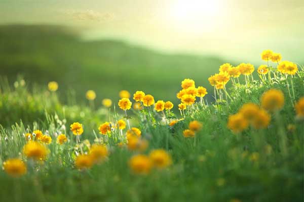 3 con giáp này may mắn chạm đỉnh từ 35 tuổi trở đi, tiền bạc rủng rỉnh, hậu vận không cần lo nghĩ-4