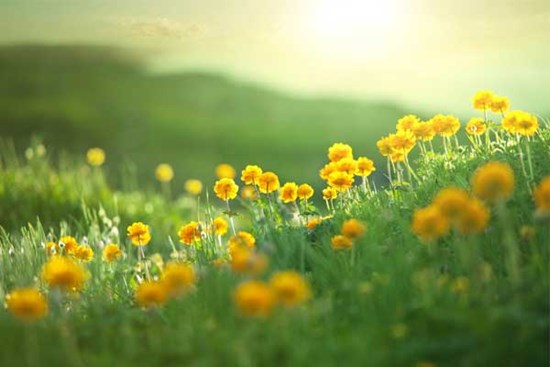 Tử vi ngày 6/10/2023: Tuổi Thìn tràn đầy năng lượng, tuổi Tỵ tin vui thăng tiến