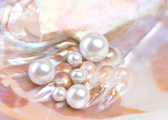 Chơi ngông như Hòa Thân ngày nào cũng uống báu vật mà Từ Hi nửa tháng mới dám dùng một lần-7