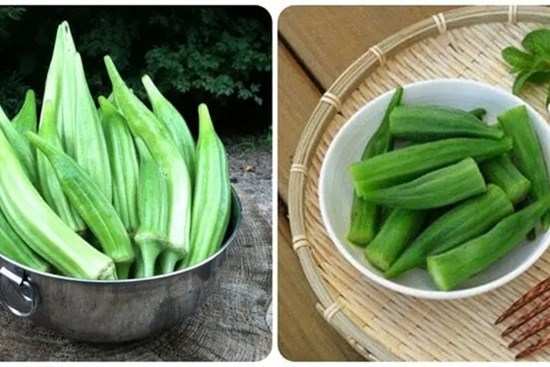 Tác dụng giúp đậu bắp được ví ‘nhân sâm xanh’