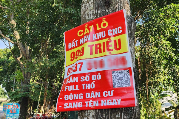 Ngược đời mốt săn lùng nhà đất dính quy hoạch để xuống tiền đầu tư-3