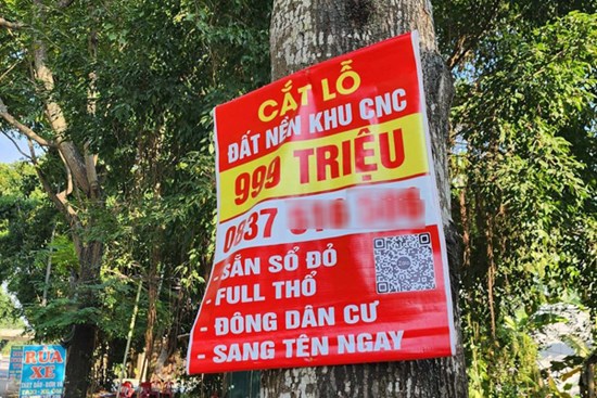 Xuất hiện nhà đầu tư lướt đất đấu giá trở lại, kiếm lời trăm triệu đồng