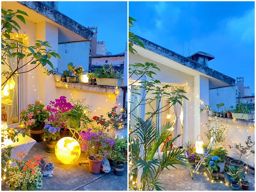 Đi thuê nhà, cô gái cải tạo sân thượng cũ thành vườn chill lãng mạn-7