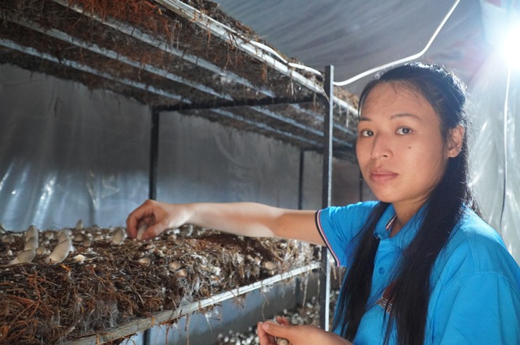 Chỉ trồng loại cây này, vợ chồng trẻ Đồng Tháp thu đến nửa tỷ đồng/năm-2