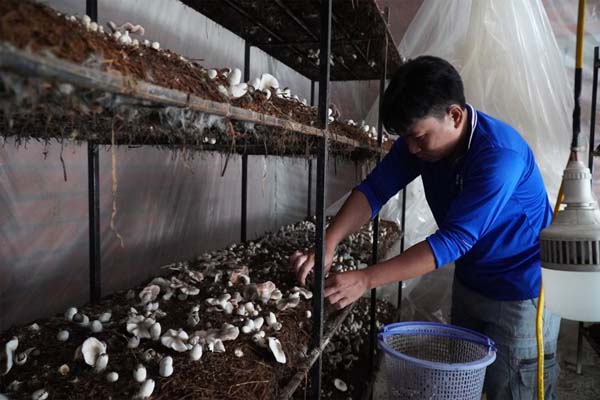 Giá hàng tiêu dùng đang tăng mỗi ngày-3