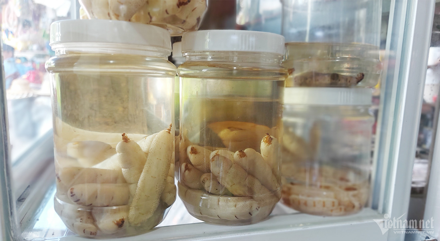 Độc lạ chợ côn trùng lớn nhất miền Tây, nơi quý ông ghé săn ‘xuân dược-3