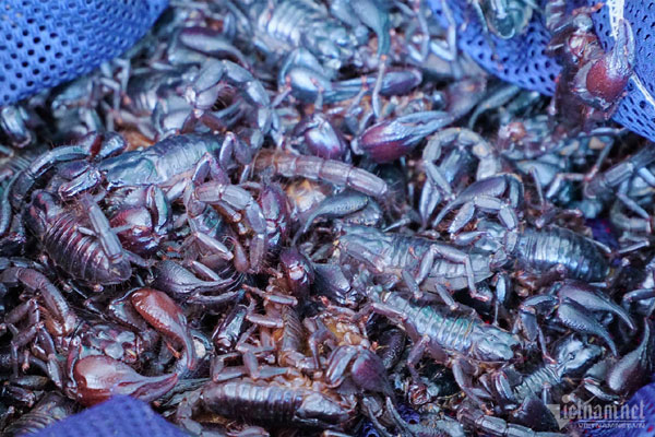 Thị trường biệt thự Hà Nội đóng băng do chủ đầu tư tạm khóa bảng hàng?-3