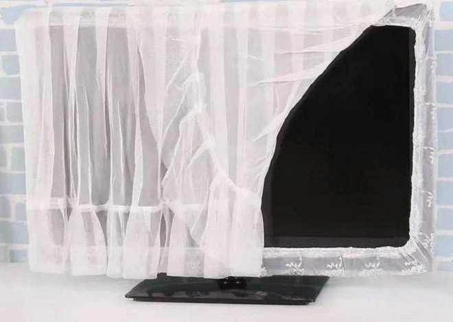 Tuyệt đối không đặt 4 thứ này cạnh tivi, nếu không muốn tốn thêm rất nhiều tiền-3