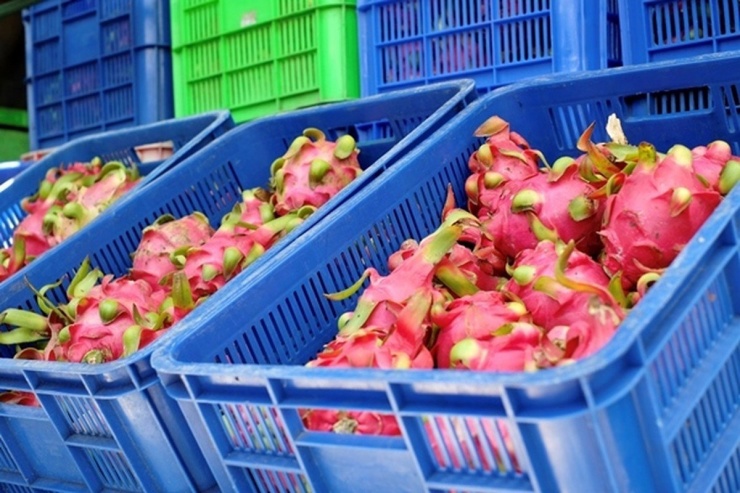 4 loại quả ở Việt Nam rẻ như cho”, ra nước ngoài cực chát-5