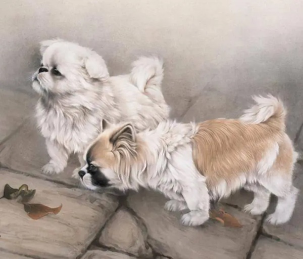 4 con giáp là cây hái tiền, hỗ trợ cả gia đình làm giàu, tương lai không ai nghèo-2