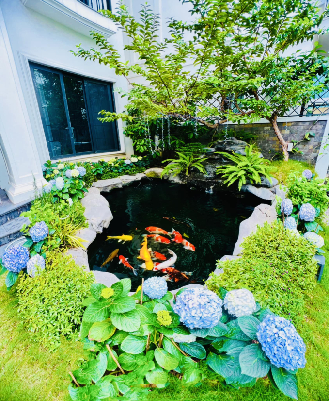 Sân vườn trong biệt thự 2 triệu đô của Lã Thanh Huyền: Diện tích khủng 150m2, nổi bật với hồ cá Koi đắt đỏ-5