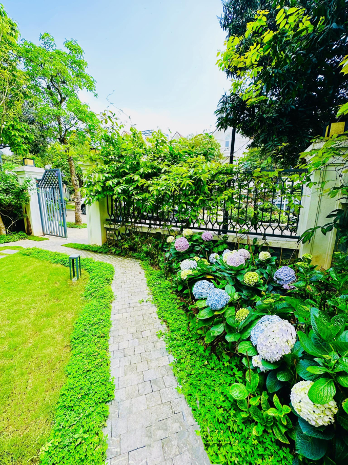 Sân vườn trong biệt thự 2 triệu đô của Lã Thanh Huyền: Diện tích khủng 150m2, nổi bật với hồ cá Koi đắt đỏ-6