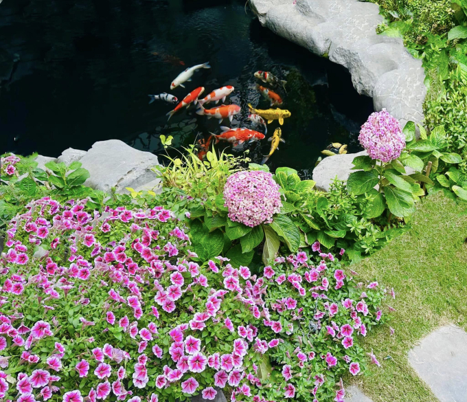 Sân vườn trong biệt thự 2 triệu đô của Lã Thanh Huyền: Diện tích khủng 150m2, nổi bật với hồ cá Koi đắt đỏ-8