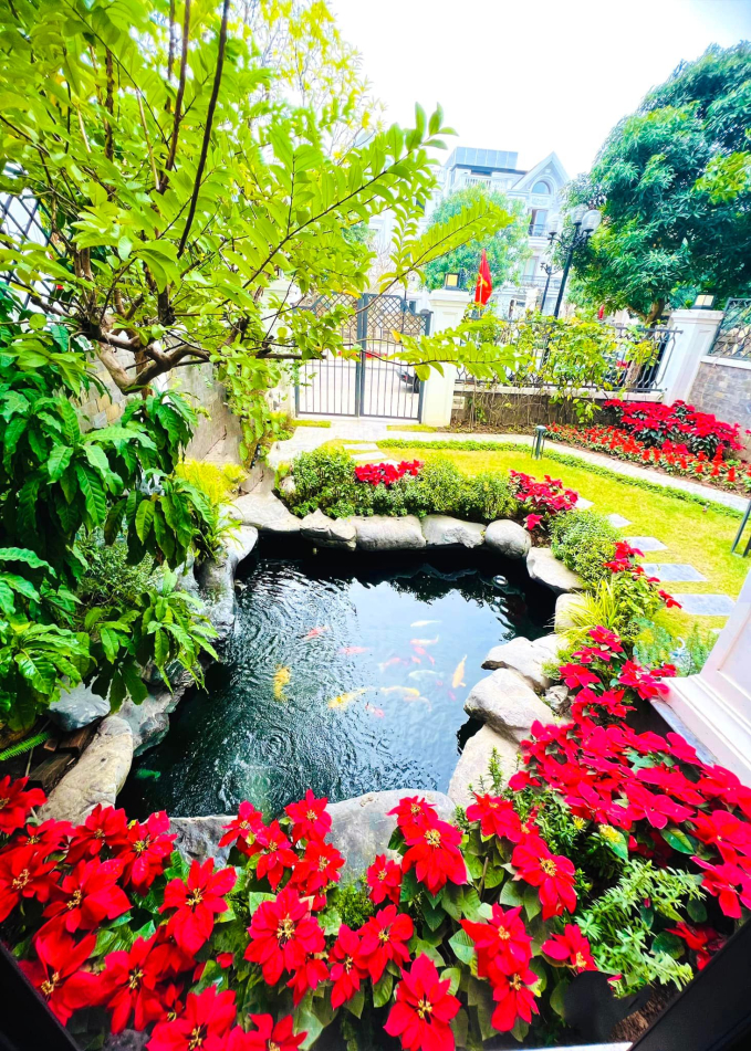 Sân vườn trong biệt thự 2 triệu đô của Lã Thanh Huyền: Diện tích khủng 150m2, nổi bật với hồ cá Koi đắt đỏ-11