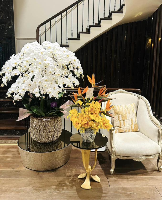 Sân vườn trong biệt thự 2 triệu đô của Lã Thanh Huyền: Diện tích khủng 150m2, nổi bật với hồ cá Koi đắt đỏ-15