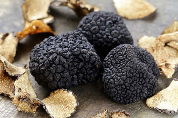 Loại nấm dại đen sì ví như vàng đen”, có gì ngon mà giá nửa tỷ/kg-1