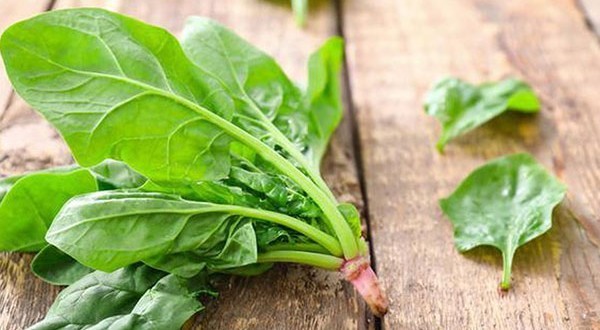 Rau chân vịt ngừa ung thư, cực bổ dưỡng nhưng cũng có thể gây hại đủ đường nếu ăn sai cách-1