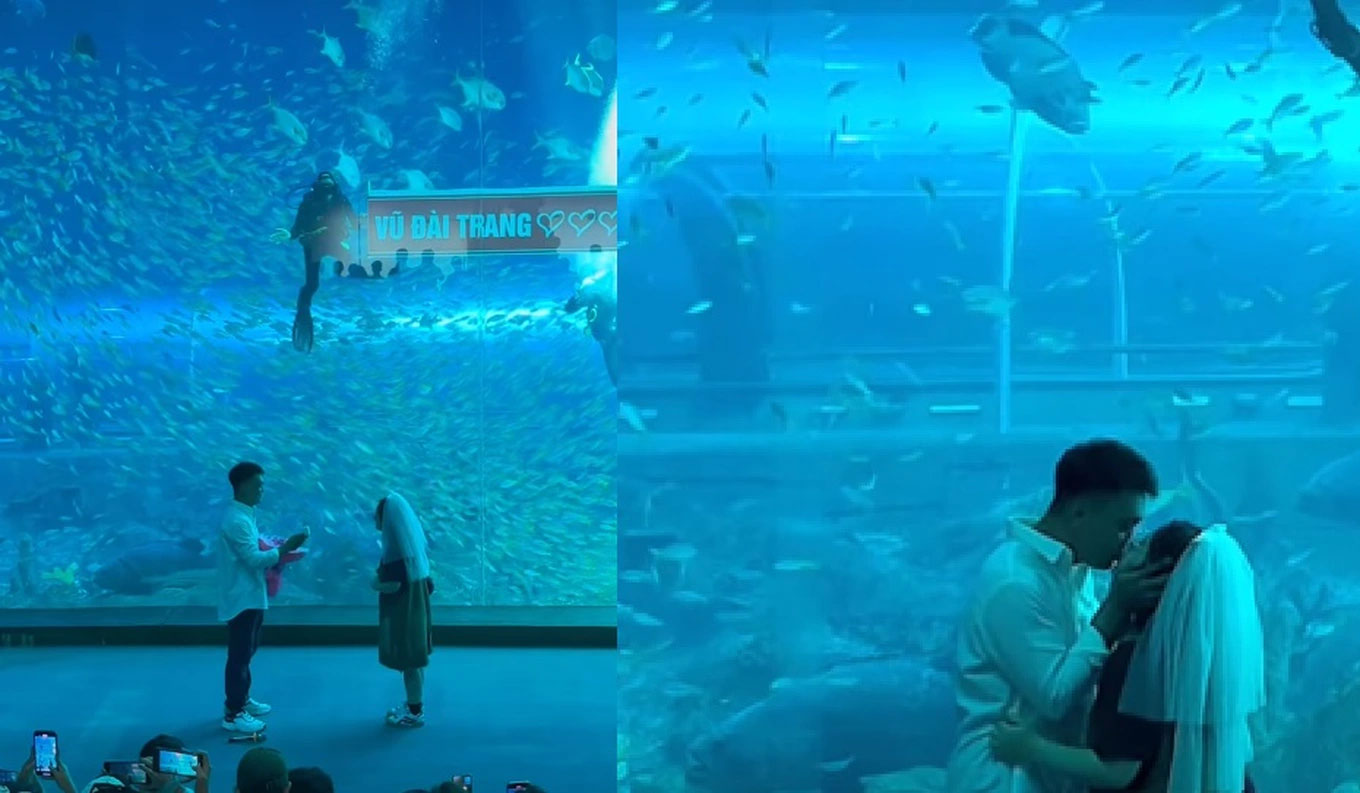 Màn cầu hôn độc đáo khiến khán giả hò reo, xúc động ở thủy cung Phú Quốc-1