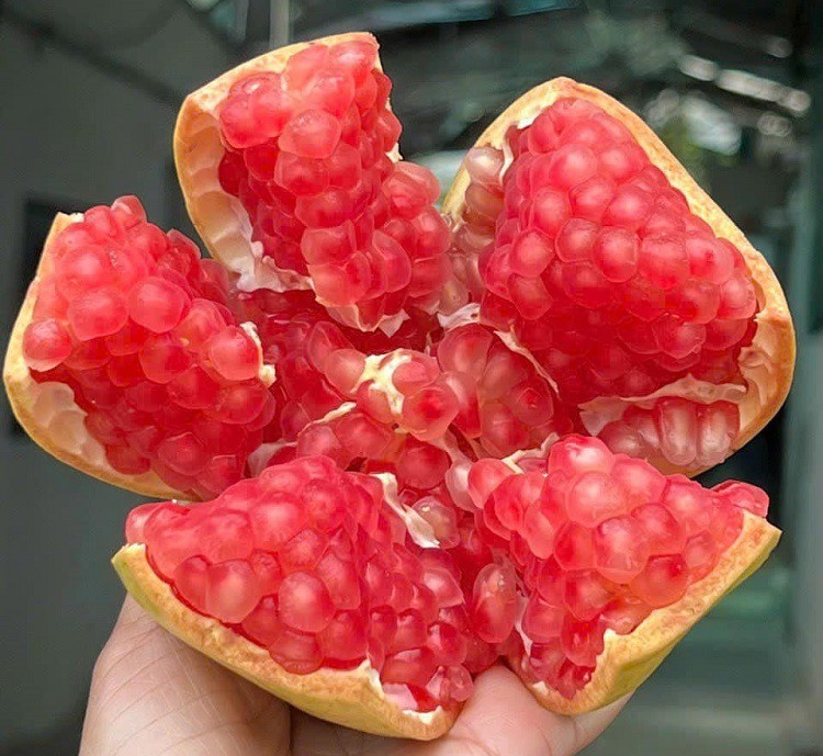 Giống lựu ngon nhất thế giới từng có giá đắt đỏ, giờ bán đầy chợ với giá rẻ giật mình”-2