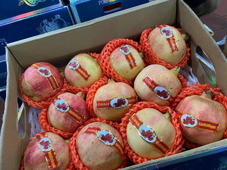 Giống lựu ngon nhất thế giới từng có giá đắt đỏ, giờ bán đầy chợ với giá rẻ giật mình”-4