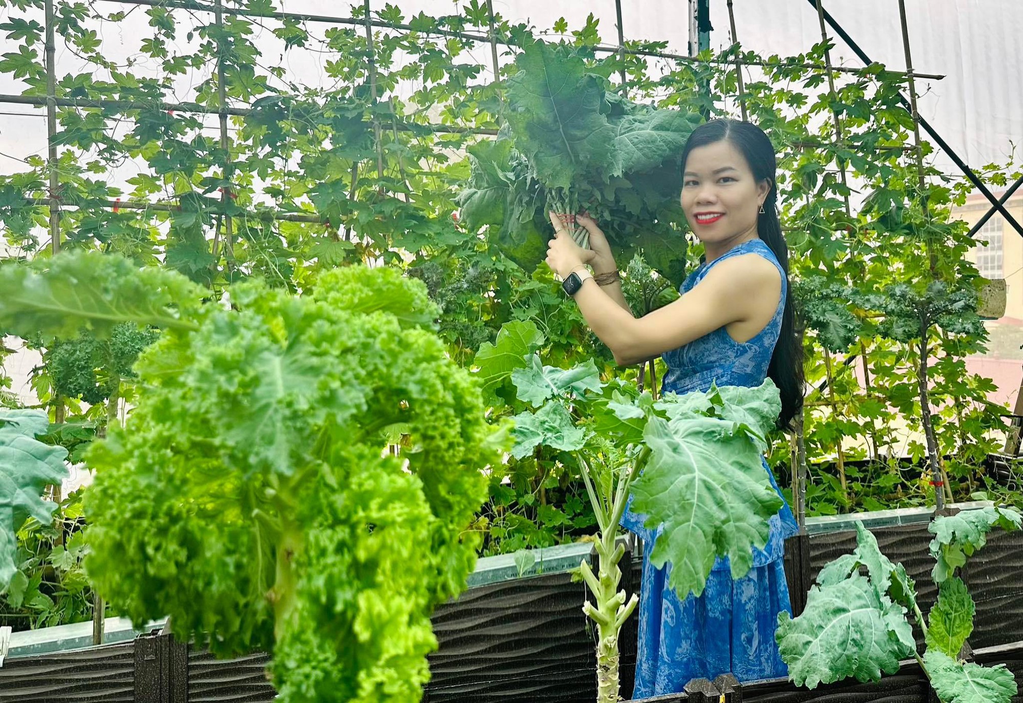 Cải tạo sân thượng thành vườn rộng 250m2, nhìn ngỡ như Đà Lạt thu nhỏ”-1