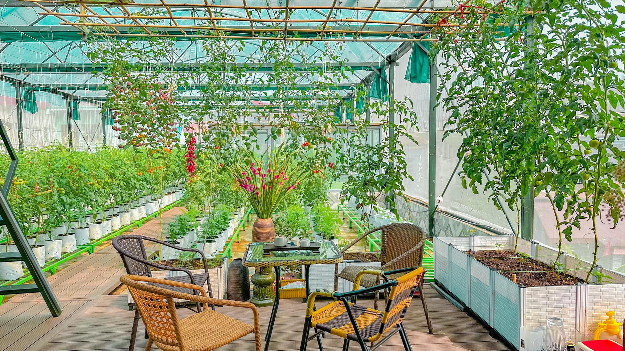 Cải tạo sân thượng thành vườn rộng 250m2, nhìn ngỡ như Đà Lạt thu nhỏ”-11