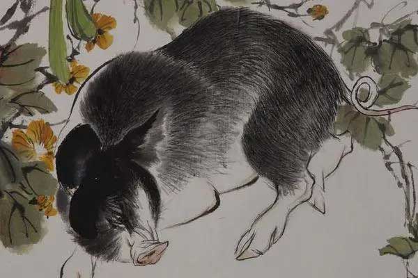 Chuyên gia tiết lộ 4 con giáp vận đỏ như son” 3 tháng cuối năm 2023: May mắn nhân đôi, hết tiền lại có-1