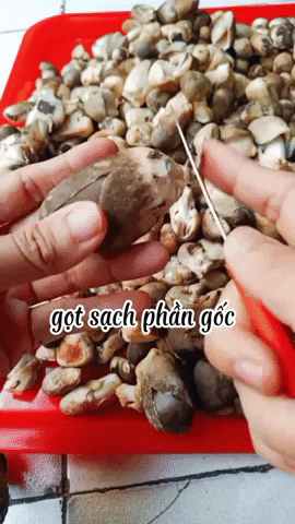 Mách bạn cách bảo quản nấm rơm 10 ngày vẫn giòn ngon, không bị thâm nhũn-2