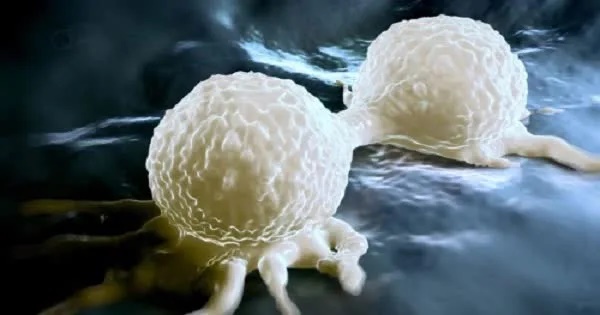 Muốn nhận biết dấu hiệu ung thư, hãy kiểm tra dấu hiệu tại 3 thời điểm trong ngày-1