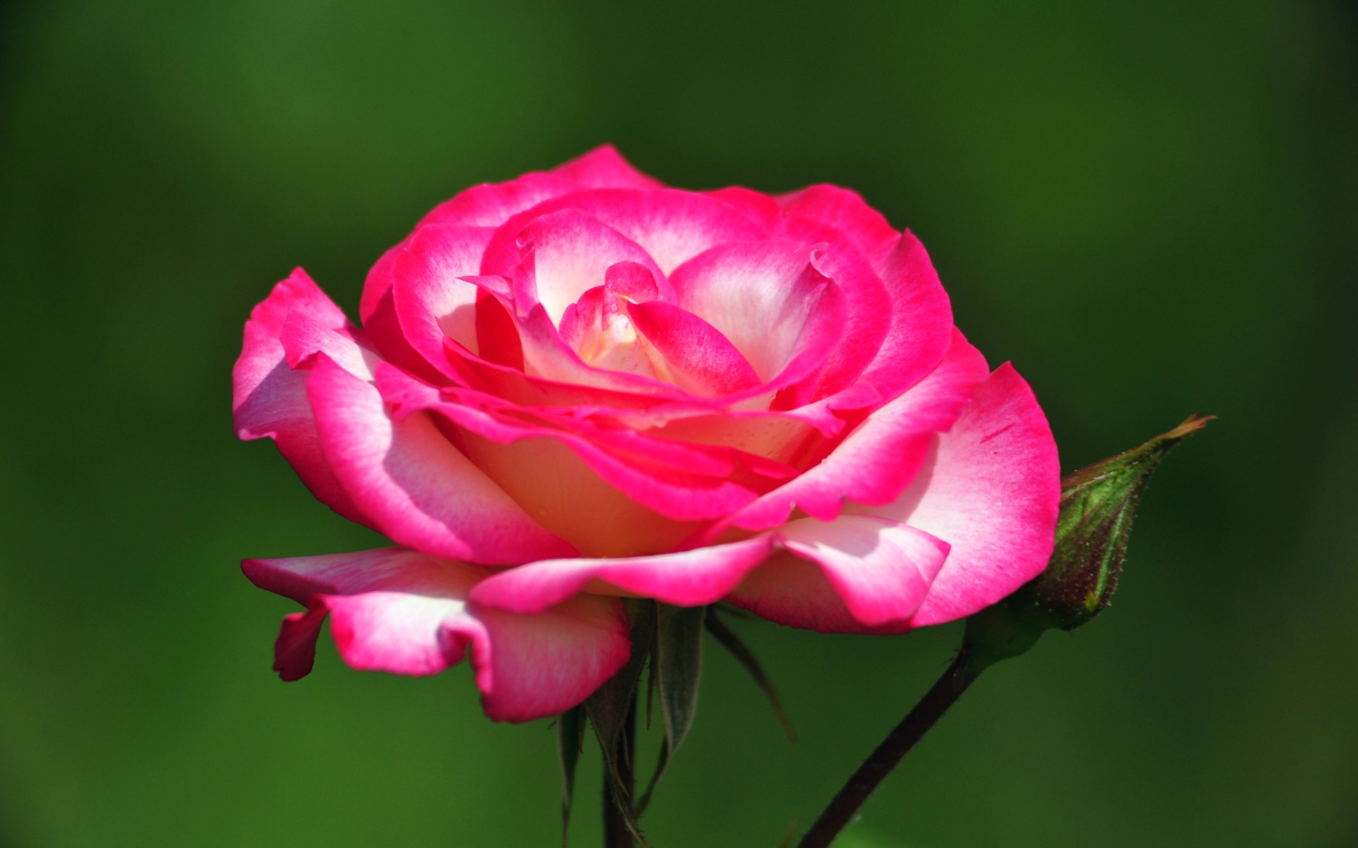 Tháng 10 no ấm: Người sinh vào 6 ngày Âm lịch này chứng tỏ thực lực, tiền tài phơi phới-3