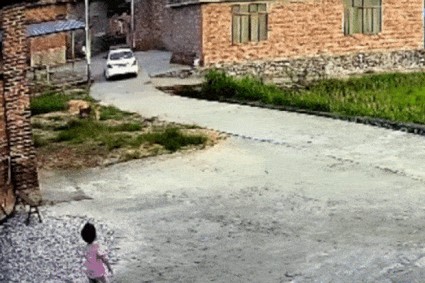 Nữ giáo viên ôm học sinh quỳ trước đầu xe ô tô và sự thật phía sau-1