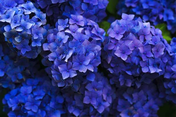 Cháy dữ dội ở bãi xe sân bay khiến nhiều tòa nhà chìm trong biển lửa, nhiều người nhập viện vì ngạt khói-6